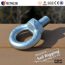 Forged Eye Bolt/Threaded Eye Bolt for Lifting